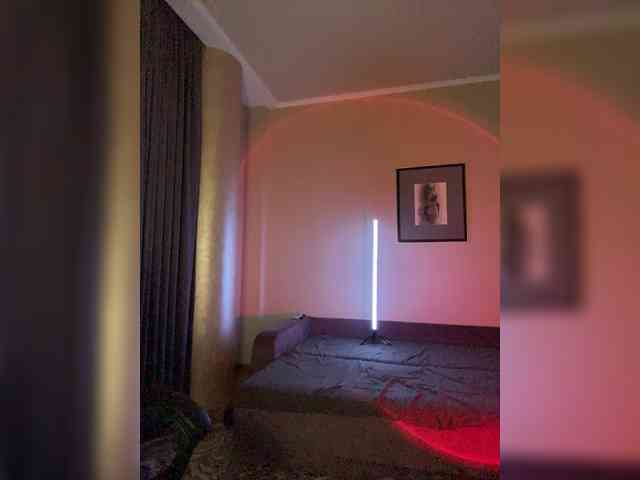 SheisArt webcam