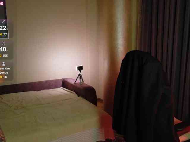 SheisArt webcam