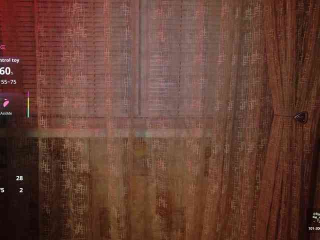 SheisArt webcam