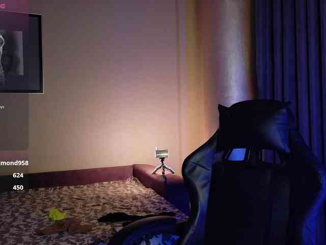 SheisArt webcam