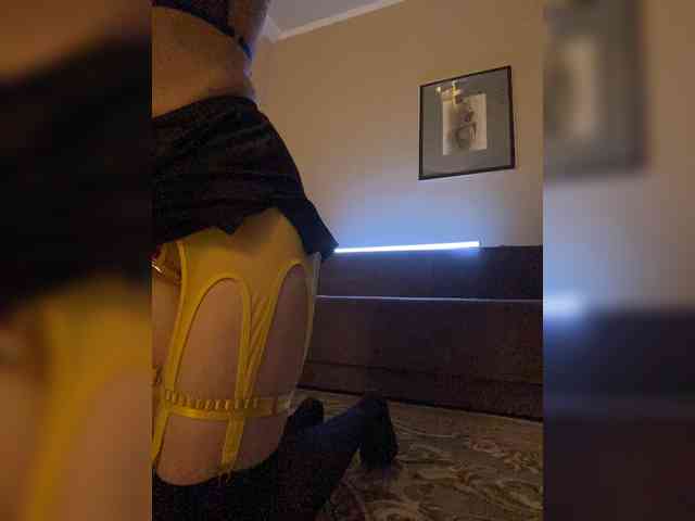 SheisArt webcam