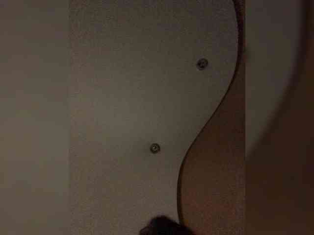 Miyami webcam