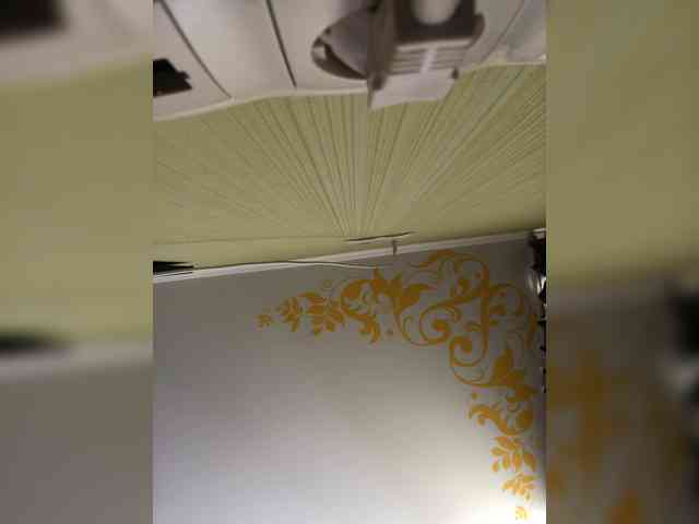 Miyami webcam