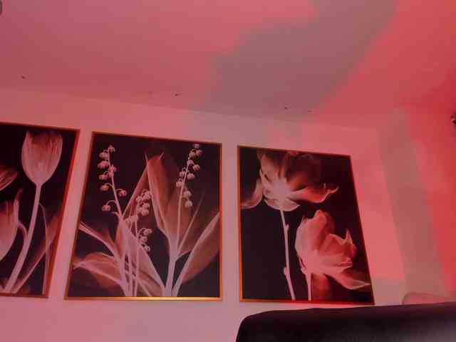 MilaLawrence webcam