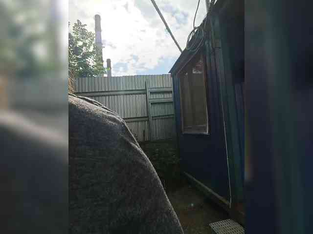 Dilfina webcam
