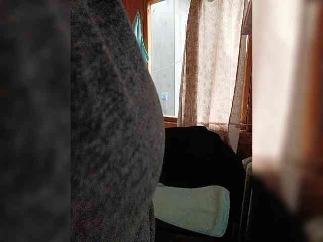 Dilfina webcam
