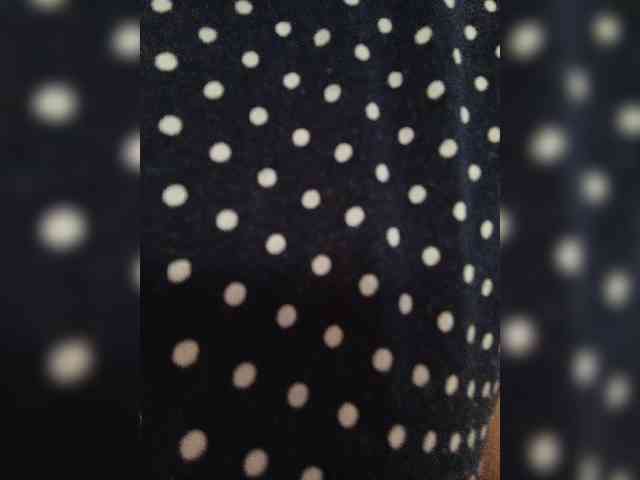 Dilfina webcam