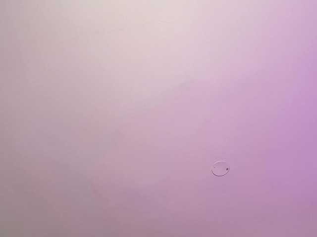 Issa-tay1's BongaCams show and profile