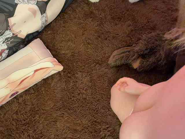 peDoVo4ka228_ webcam