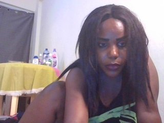 NewBird's Live Webcam