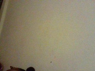 NewBird