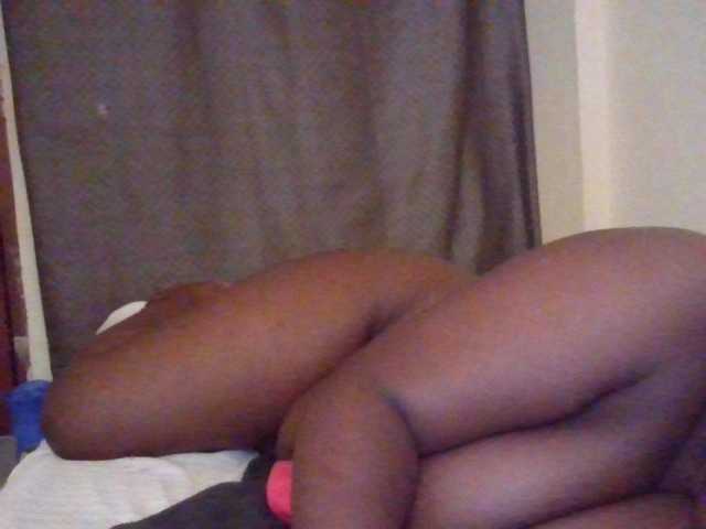 NewBird live cam on BongaCams