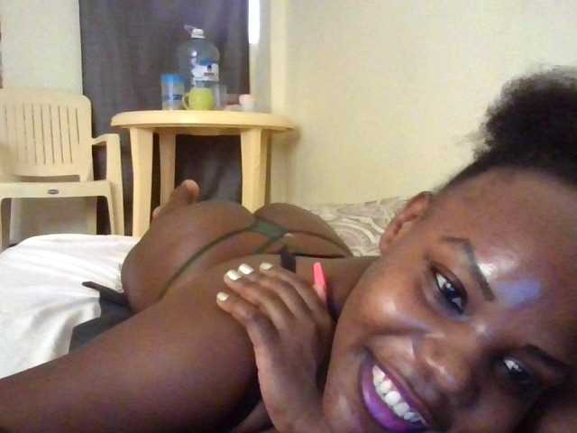 NewBird live cam