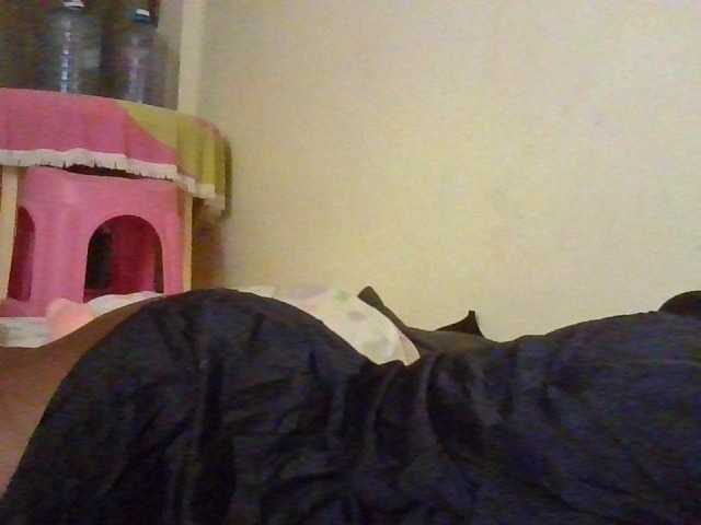 NewBird
