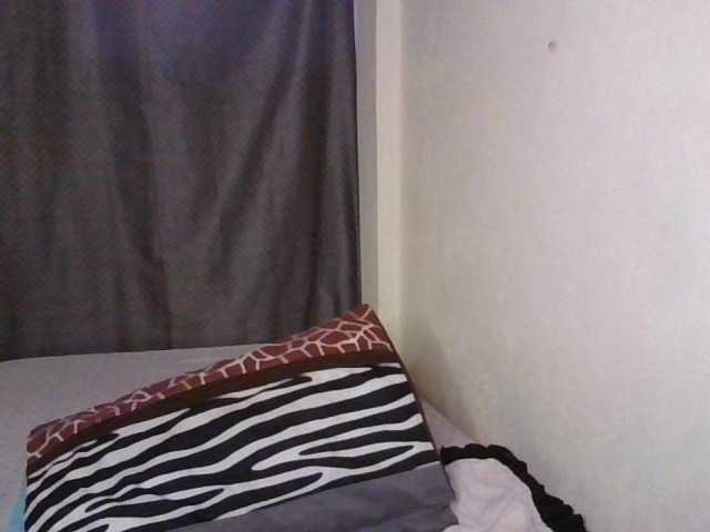 NewBird live cam preview