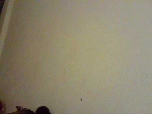 NewBird live cam on BongaCams