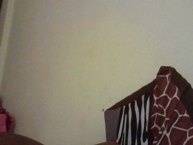 NewBird live cam on BongaCams