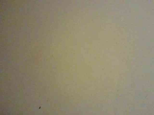NewBird webcam