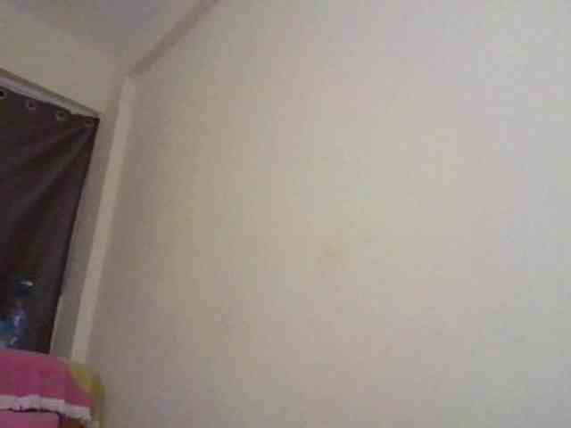 NewBird webcam