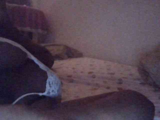 NewBird webcam