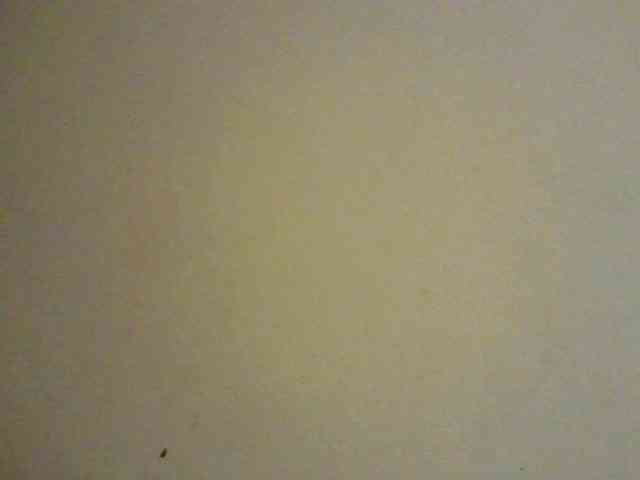NewBird webcam
