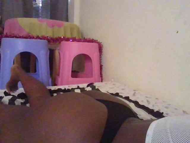 NewBird webcam
