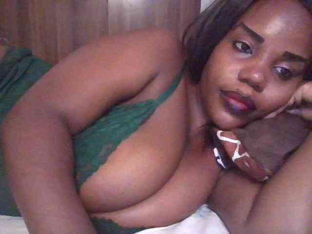 Model: NewBird