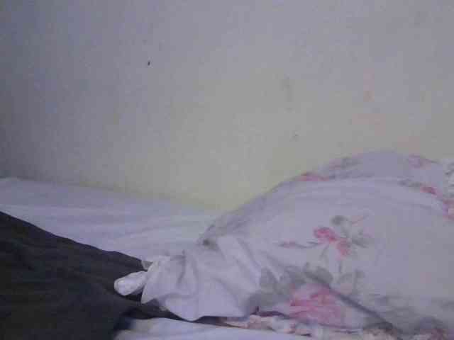 NewBird webcam
