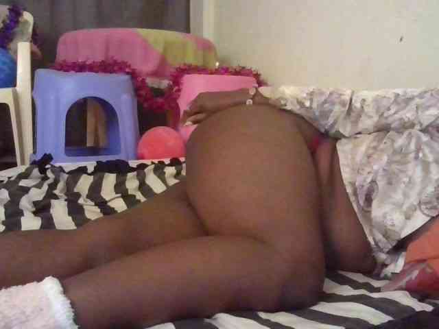 NewBird webcam