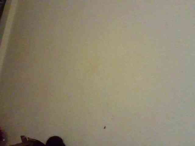 NewBird webcam