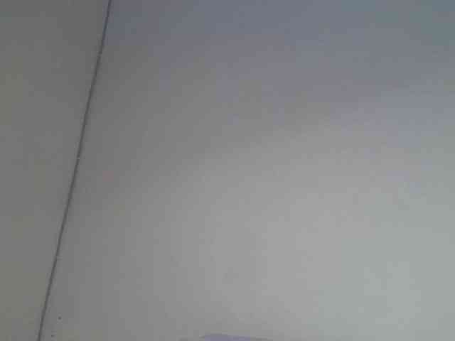 NewBird webcam