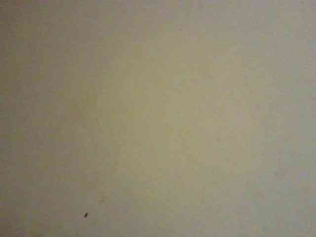 NewBird webcam