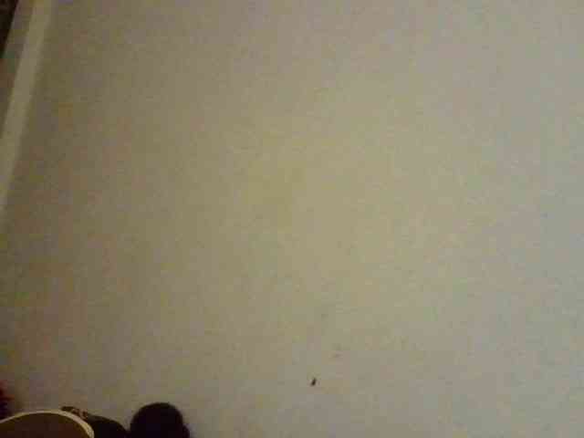 NewBird webcam