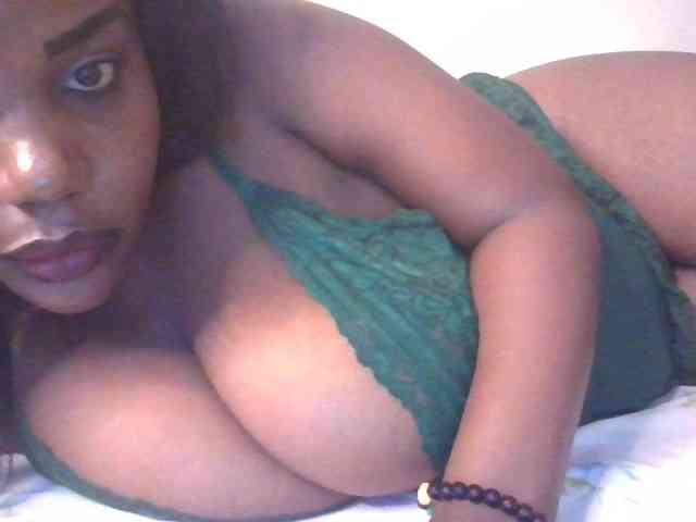 Model: NewBird