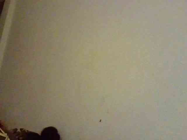 NewBird webcam
