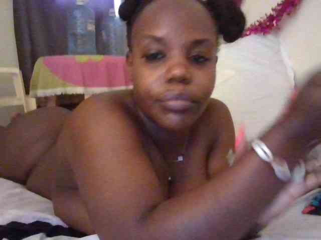 Model: NewBird