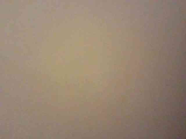 NewBird webcam
