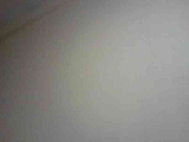 NewBird webcam