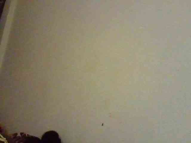 NewBird webcam