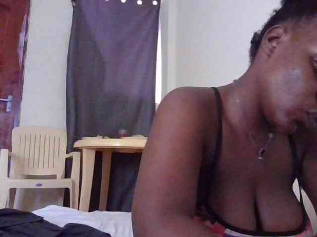 NewBird webcam