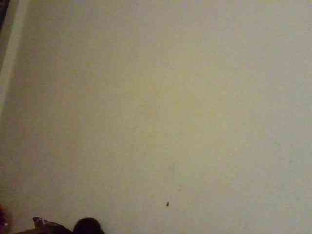 NewBird webcam