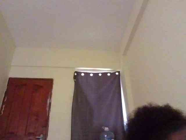 NewBird webcam