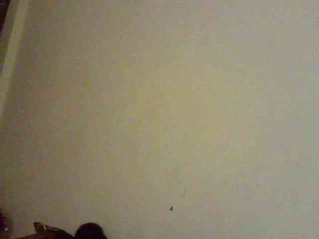 NewBird webcam