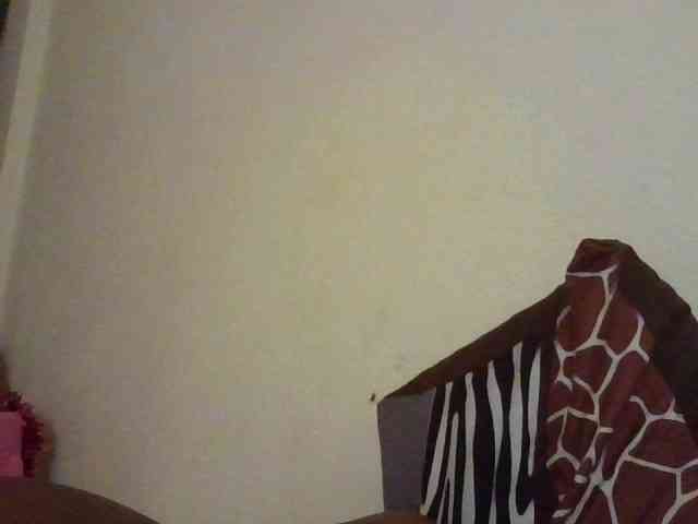 NewBird webcam