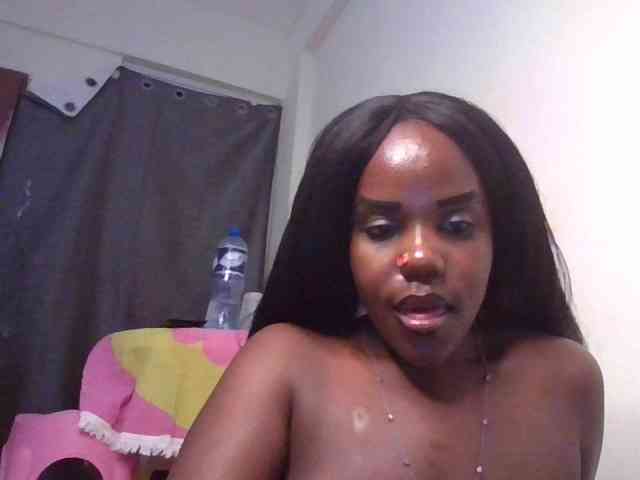 Model: NewBird