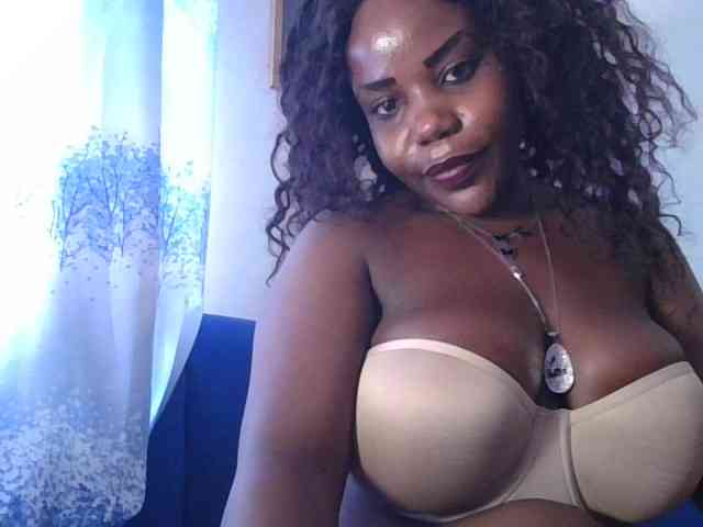 Model: NewBird