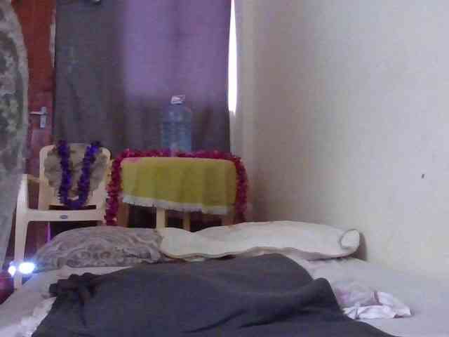 NewBird webcam