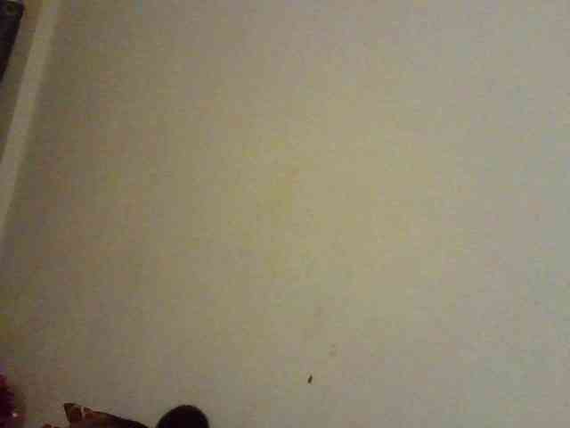 NewBird webcam