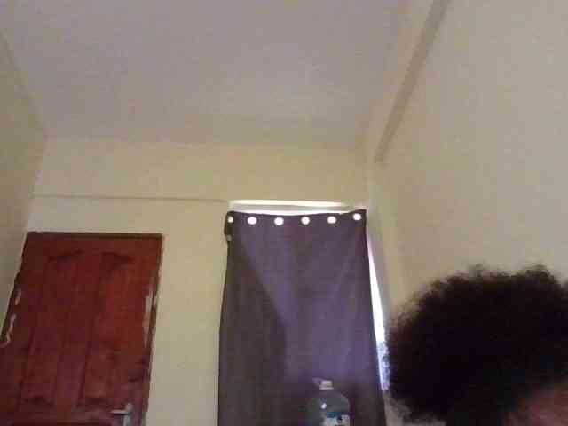 NewBird webcam