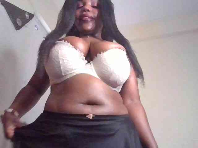 Model: NewBird